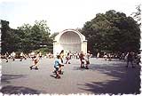 [photo]